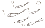 TJiwebŏ񔭐M炢M